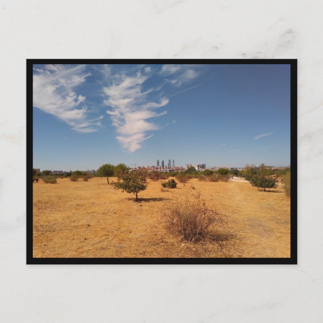 Madrid (Spain) Postcard (Front)