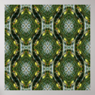 Madrone lace garden....... poster