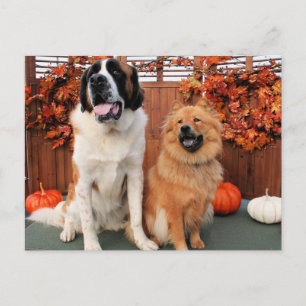 Mae - St Bernard and Cinny - Chow Chow Photo-4 Postcard