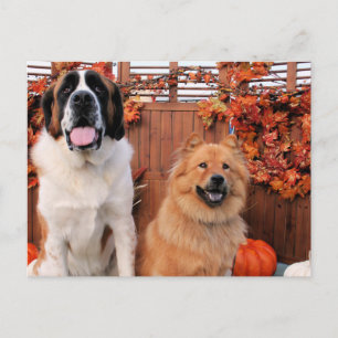 Mae St Bernard and Cinny Chow Photo-11 Postcard
