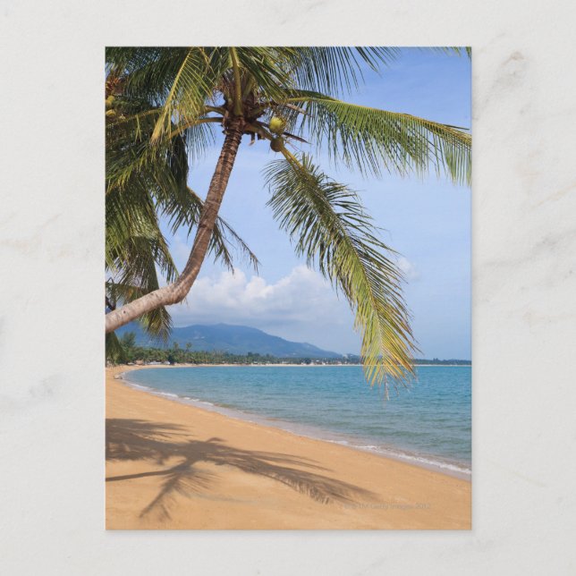 Maenam beach. postcard (Front)