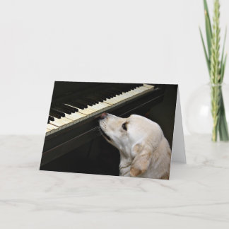 maestro card