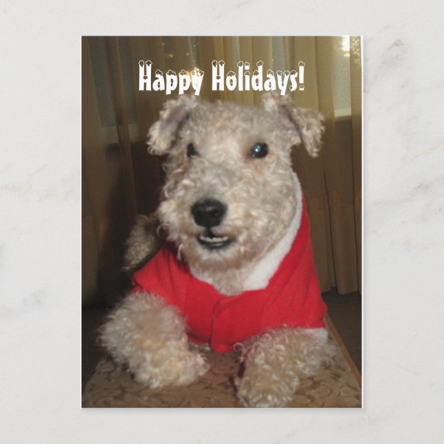 Maestro the Lakeland Terrier Christmas Cards (Front)
