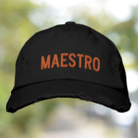 Maestro The Master The Teacher