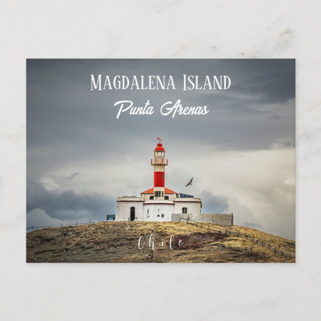 Magdalena Island Lighthouse Postcard (Front)