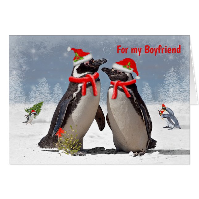 Magellanic Christmas Card BOYFRIEND (Front Horizontal)