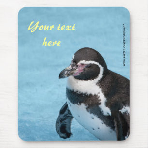 Magellanic Penguin Mousepad