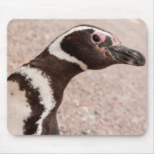 Magellanic Penguin, Patagonia, Argentina Mouse Mat