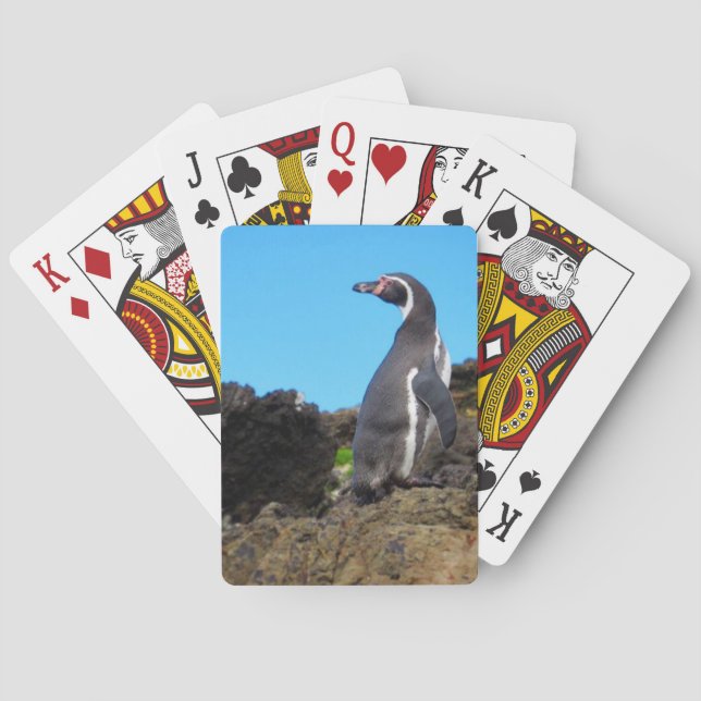 magellanic penguin playing cards (Back)