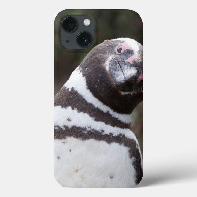 Magellanic Penguin Portrait Case-Mate iPhone Case (Back)