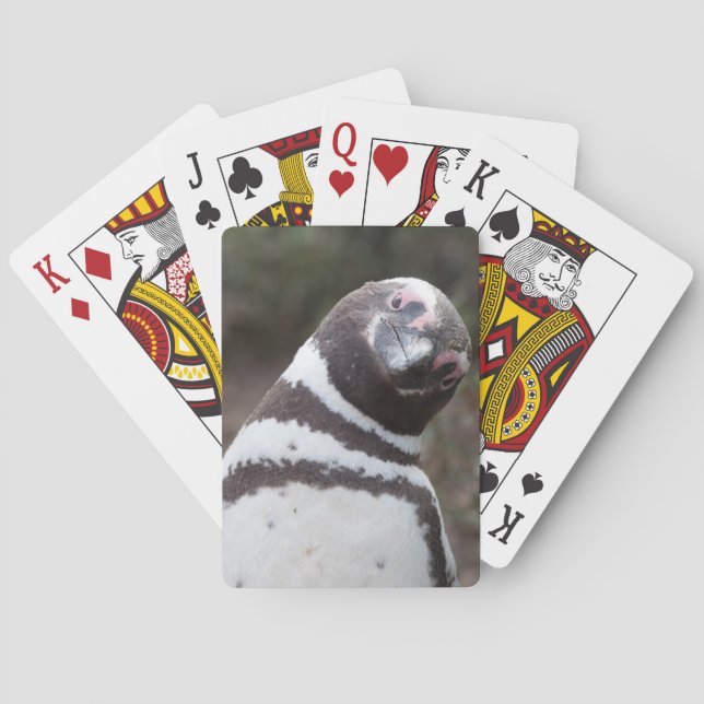Magellanic Penguin Portrait Playing Cards (Back)
