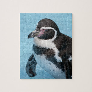 Magellanic Penguin Puzzle