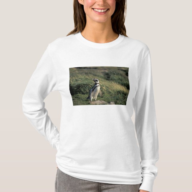 Magellanic Penguin (Spheniscus magellanicus), T-Shirt (Front)