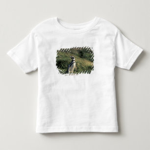Magellanic Penguin (Spheniscus magellanicus), Toddler T-Shirt
