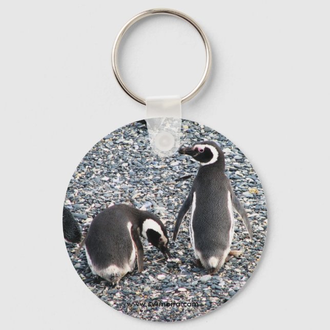 Magellanic Penguins, Beagle Channel, Patagonia Key Ring (Front)