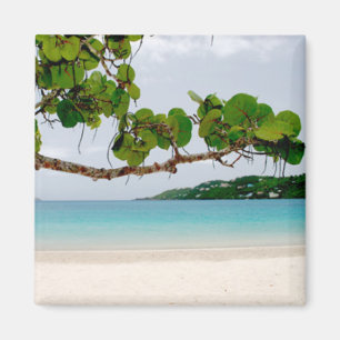 Magens Bay, St. Thomas 2 Inch Square Magnet