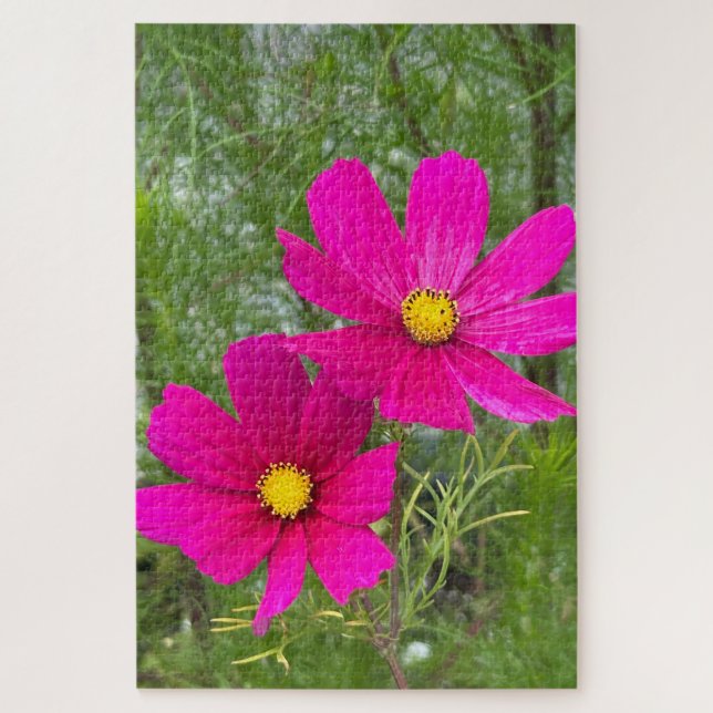 Magenta Cosmos, Quebec City Jigsaw Puzzle (Vertical)