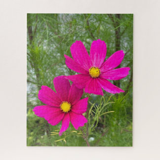 Magenta Cosmos, Quebec City Jigsaw Puzzle