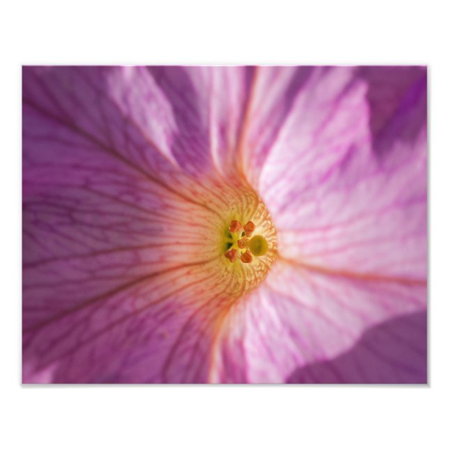 Magenta Flower Photo Print (Front)
