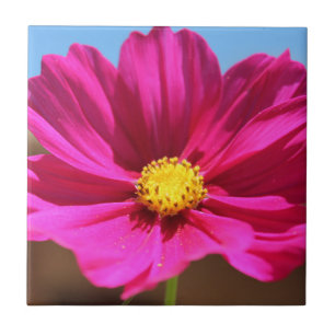 Magenta Flower Tile
