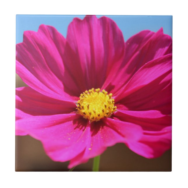 Magenta Flower Tile (Front)