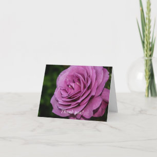 Magenta Garden Rose Thank You Card