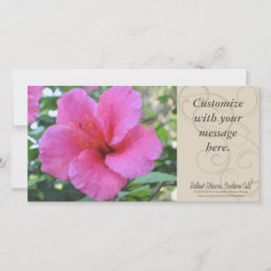 Magenta Hibiscus Photocard