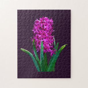 Magenta Hyacinth Jigsaw Puzzle