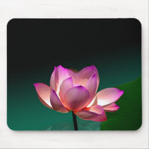 Magenta Lotus in full bloom, mousepad
