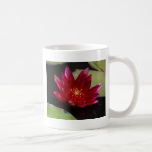 Magenta Lotus Waterlily Coffee Mug