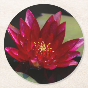 Magenta Lotus Waterlily Round Paper Coaster
