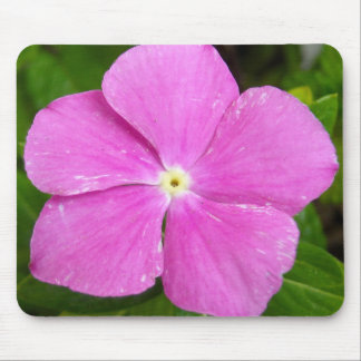 Magenta Madagascar periwinkle Mouse Mat