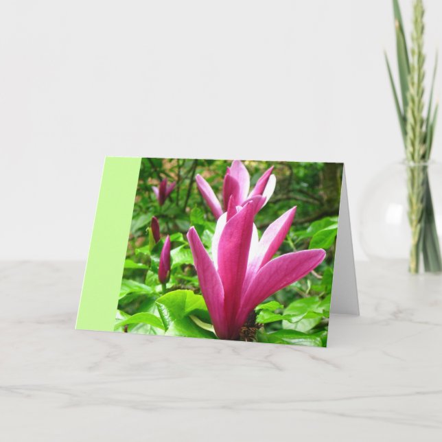 Magenta Magnolia Greeting Card (Front)