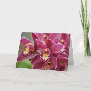 Magenta Orchids Blank Note Card