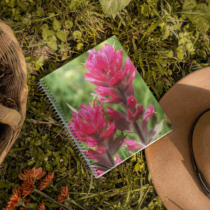 Magenta Paintbrush Blooms Floral Notebook