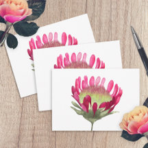 Magenta Pink King Protea Flower