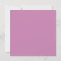 Magenta Pink Spring Season Solid Colour