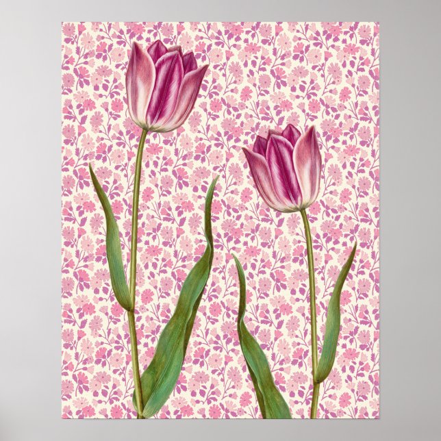 Magenta Pink Tulip Flowers Vintage Art Poster (Front)