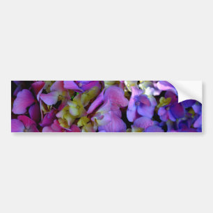 Magenta Purple blue yellow Hydrangeas flowers Bumper Sticker
