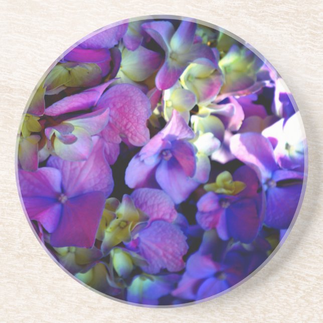 Magenta Purple blue yellow Hydrangeas flowers Coaster (Front)
