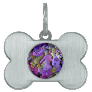 Magenta Purple blue yellow Hydrangeas flowers Pet Tag
