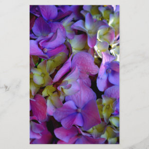 Magenta Purple blue yellow Hydrangeas flowers Stationery