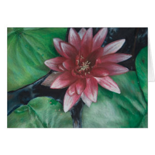 Magenta water lily
