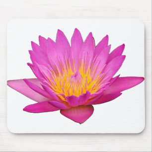 Magenta Waterlily 2 Mouse Mat