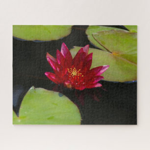 Magenta Waterlily Jigsaw Puzzle