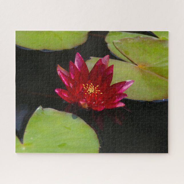 Magenta Waterlily Jigsaw Puzzle (Horizontal)