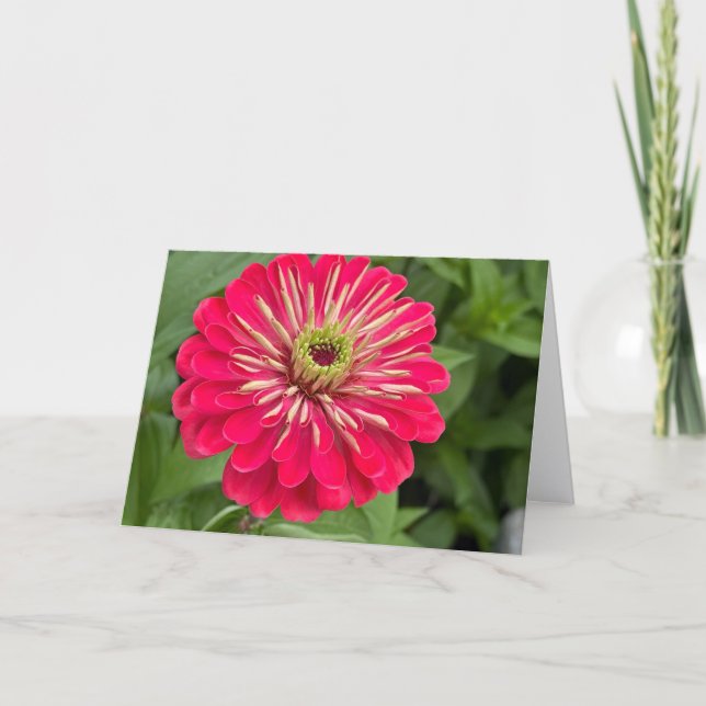 Magenta Zinnia Blank Note Card (Front)