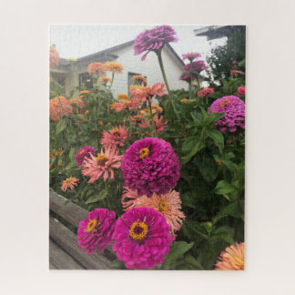 Magenta Zinnias in Garden, San Mateo Jigsaw Puzzle