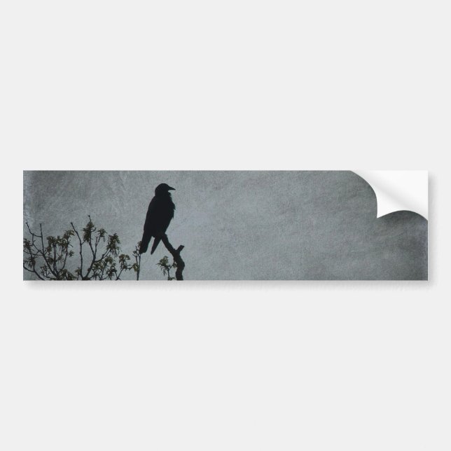 Magestic Crow Bumper Sticker (Front)