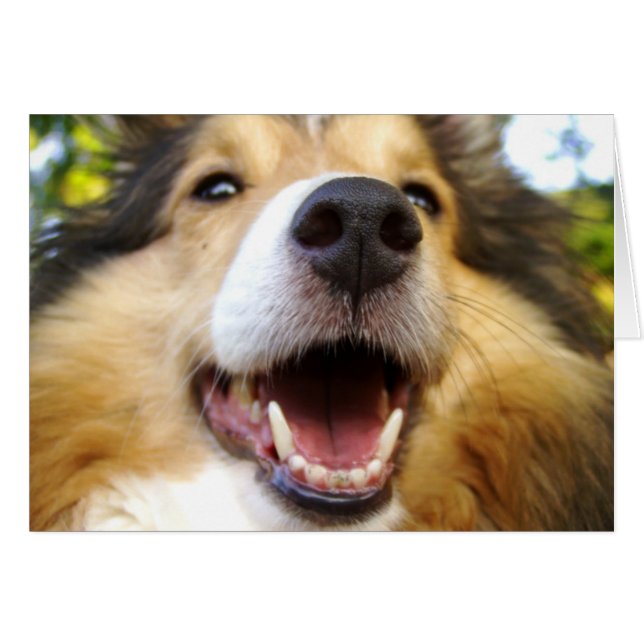 Maggie Card (Front Horizontal)